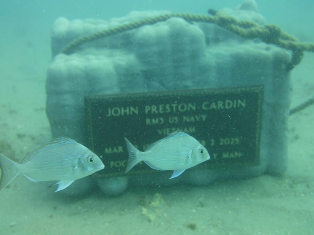 DSCI0561 War Memorial